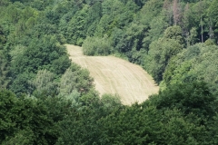 DSCF7250