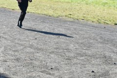 DSC_0142