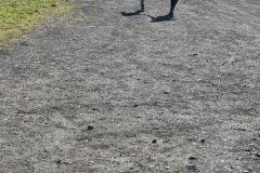 DSC_0361