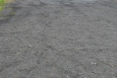 DSC_0113