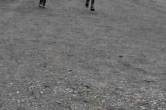 DSC_0206
