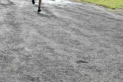 DSC_0233
