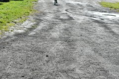 DSC_0260